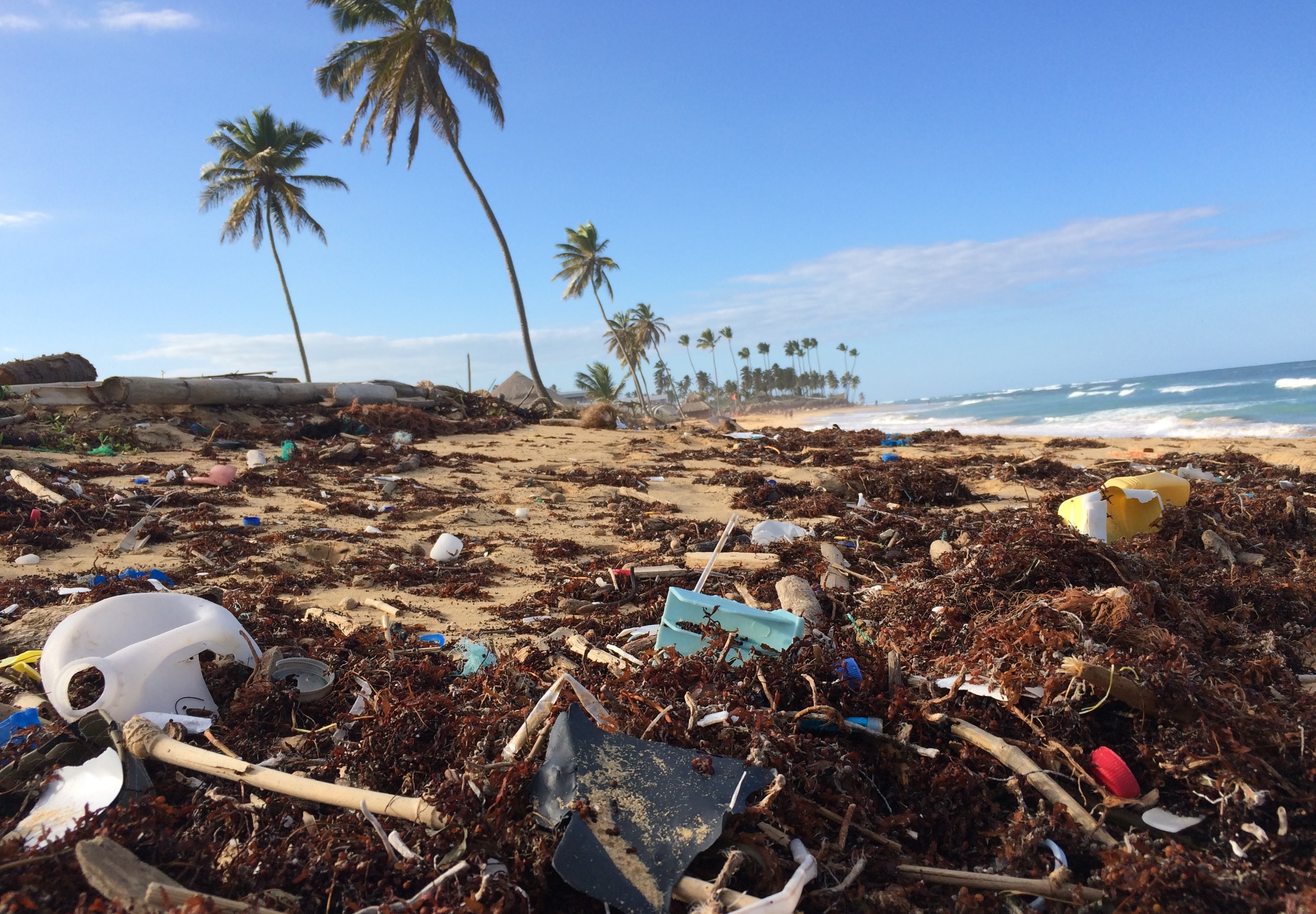 Plastic Pollution
