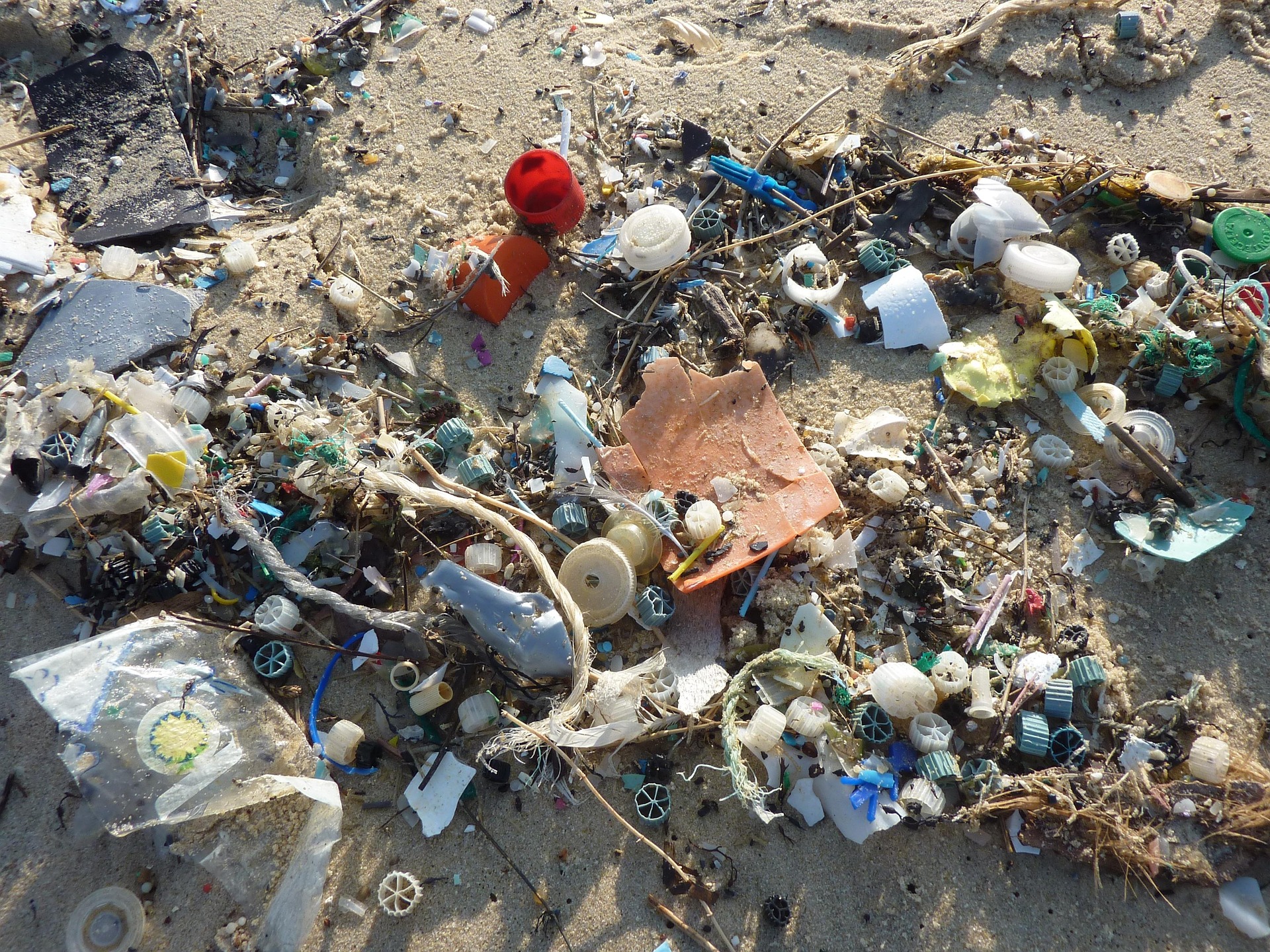 Plastic on the beach
