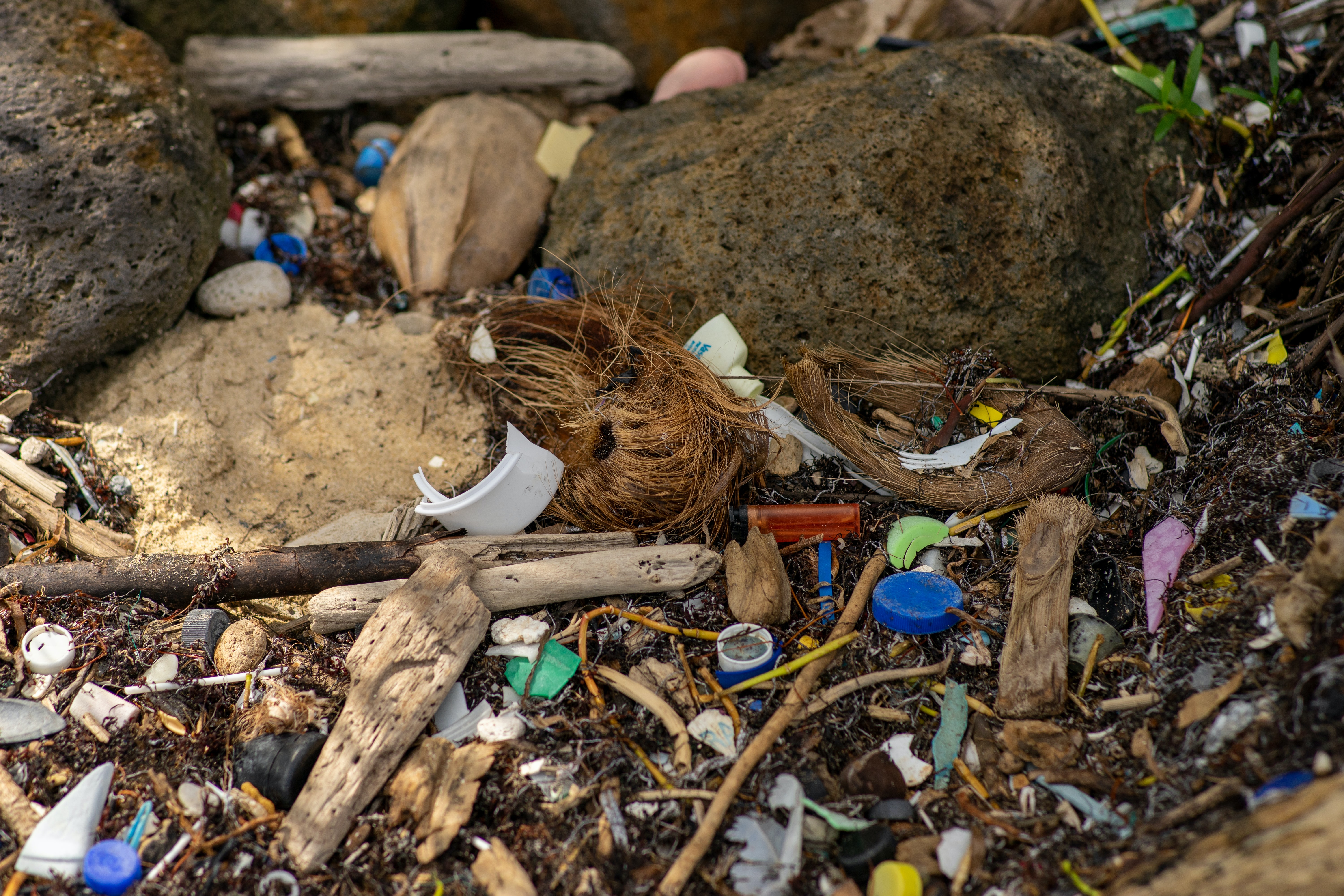Plastic Pollution on the beach
